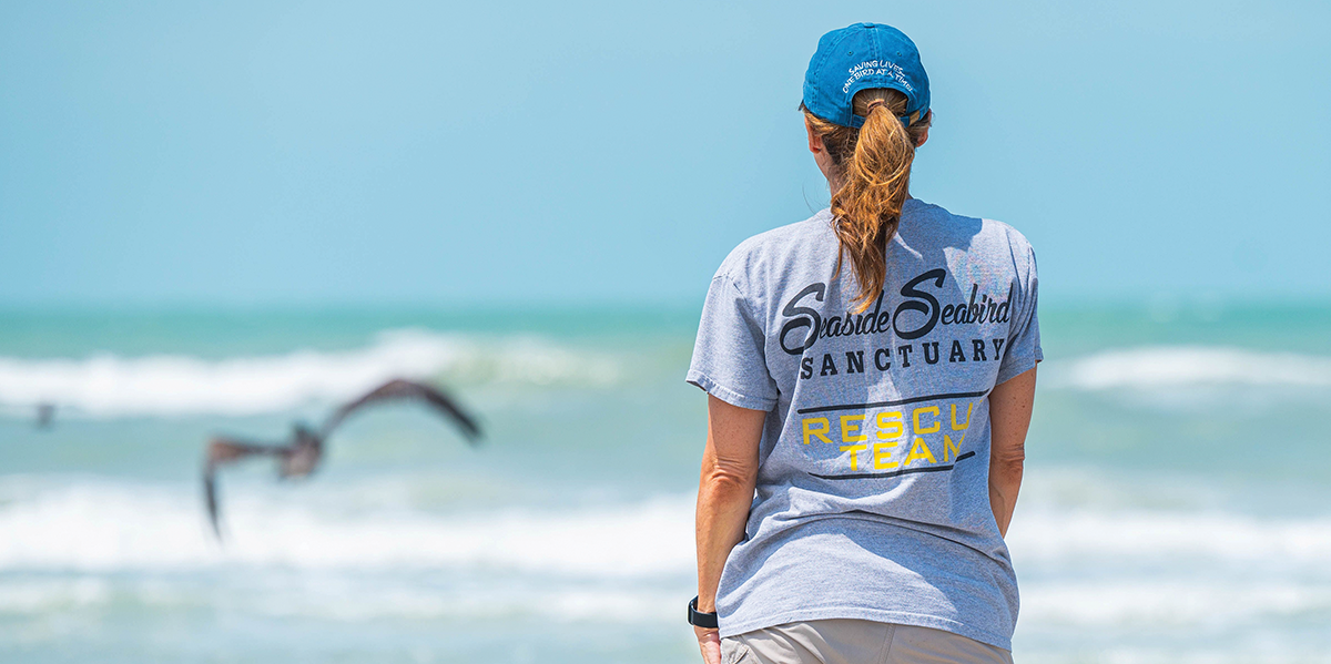 Safe Haven: Seaside Seabird Sanctuary
